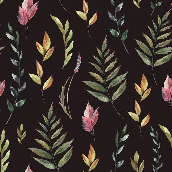 Watercolor Vintage Floral Summer Seamless Pattern Natural Botanical Texture Black — Stock Photo, Image