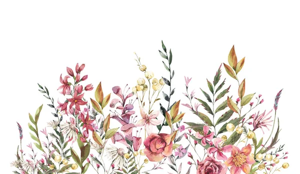 Akwarela Vintage Dzikie Kwiaty Kartka Okolicznościowa Naturalna Ilustracja Botaniczna Izolowana — Zdjęcie stockowe