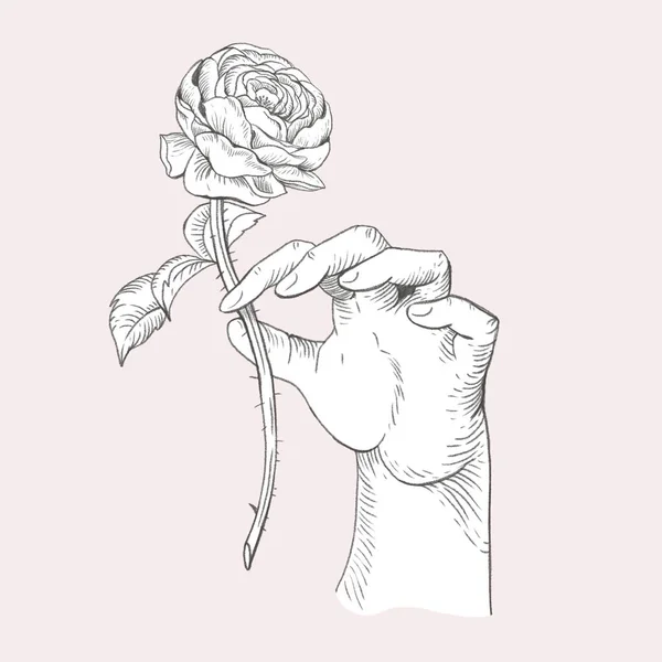女性の手でヴィンテージ花のイラスト 植物の花 リージェンシーグリーティングカード バロック様式の手描きの背景 — ストック写真