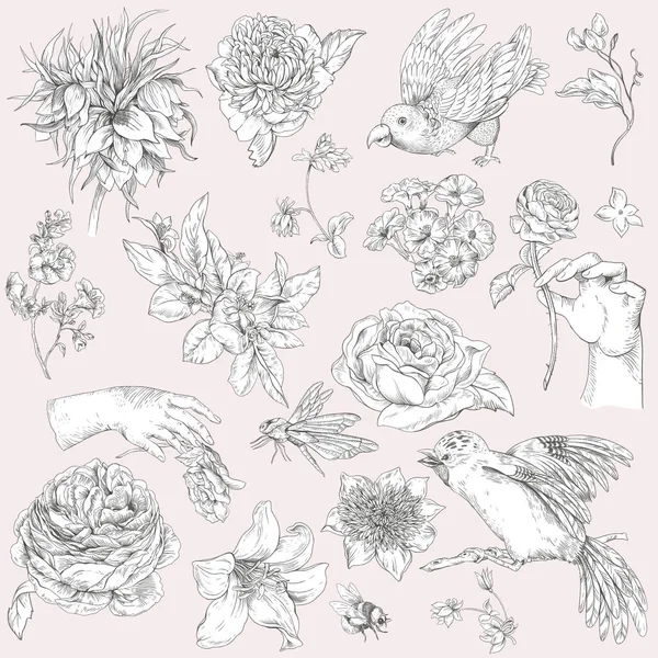 Vintage Monochrome Florale Illustration Mit Frauenhand Barockblumen Vögeln Papagei Rosen — Stockfoto