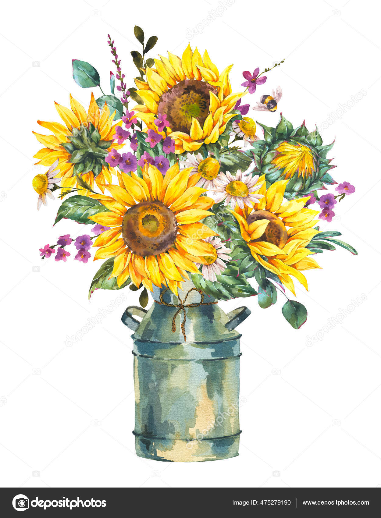 水彩缤纷的农舍向日葵花束古色古香的水壶白色背景的花瓶黄色向日葵美学老式贺卡夏季花卉采集 图库照片 C Depiano