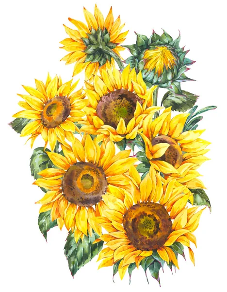 Watercolor Sunflowers Flowers Summer Vintage Bouquet Natural Yellow Floral Greeting — Stock Photo, Image