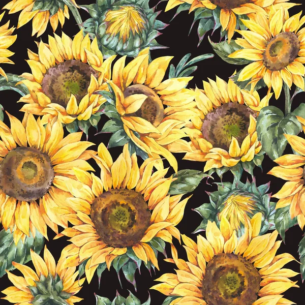 Watercolor Rustic Seamless Pattern Farmhouse Sunflower Wildflowers Meadow Flowers Texture — Stock Photo, Image