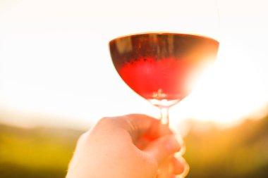 Bir adamın elinde kırmızı şarap kadehi, günbatımı şarabı, yaz mevsimi bulanık arka plan.