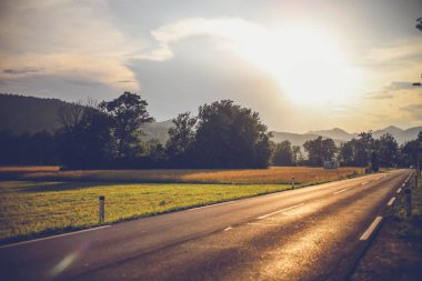 Yaz çayır manzarası. Yollu gün batımı. Yaban çiçekleri vadisi, tarlanın yanındaki yol.