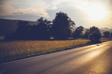 Yaz çayır manzarası. Yollu gün batımı. Yaban çiçekleri vadisi, tarlanın yanındaki yol.