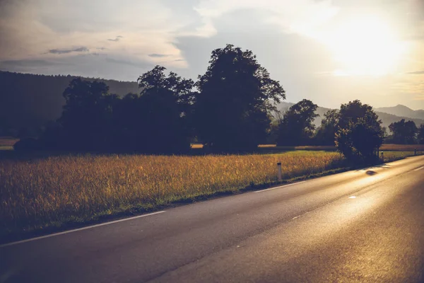 Yaz çayır manzarası. Yollu gün batımı. Yaban çiçekleri vadisi, tarlanın yanındaki yol.