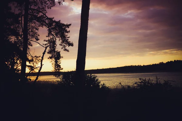 Puesta Sol Amarilla Lago Fondo Natural Borroso Cielo Atardecer Sobre — Foto de Stock