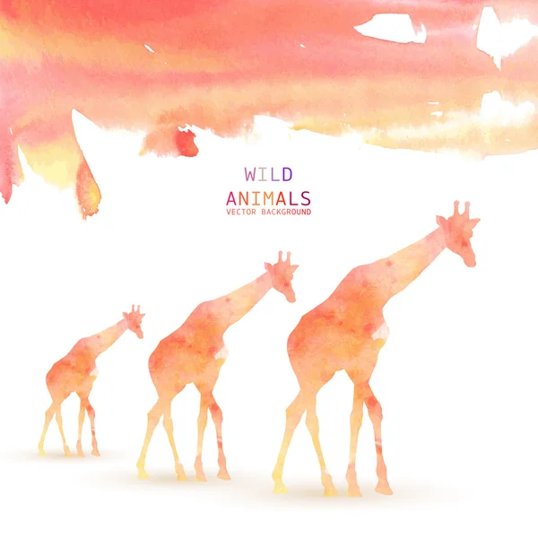 Giraffe Animal Watercolor Background — Stock Vector