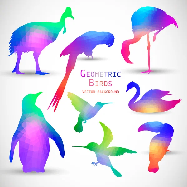 Ensemble de silhouettes géométriques colorées Oiseaux — Image vectorielle