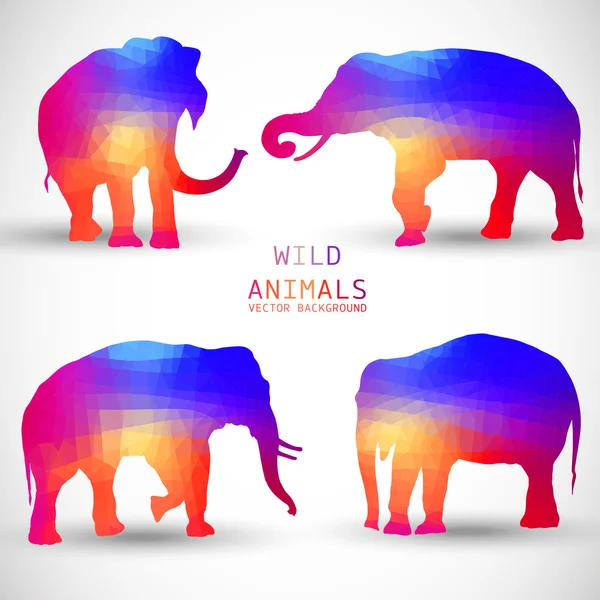 Set de coloridas siluetas geométricas de elefante — Vector de stock