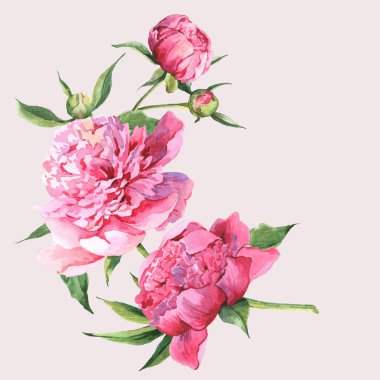 Pembe suluboya peonies vintage tebrik kartı