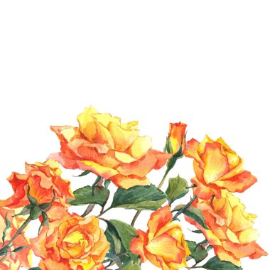 Sarı Bahçe Güllü suluboya kartı