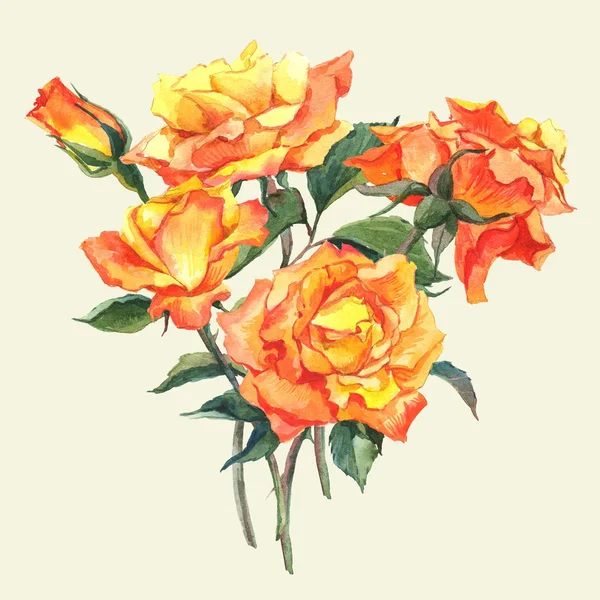 Акварель с желтыми розами сада — стоковое фото