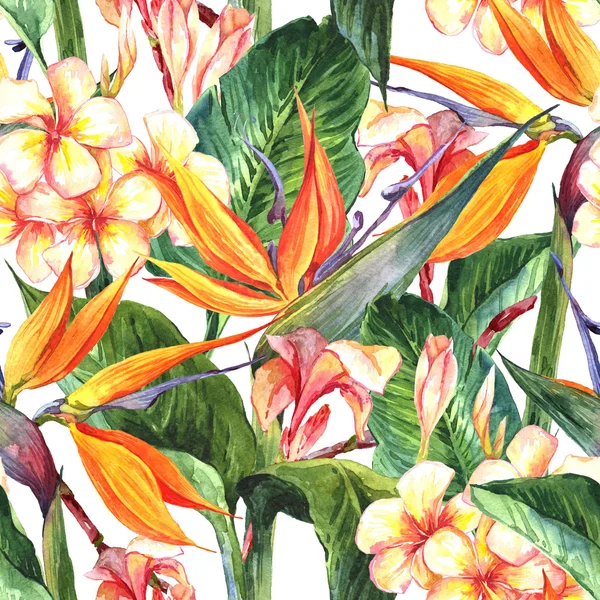 Tropical seamless pattern with exotic flowers — Stock Photo, Image