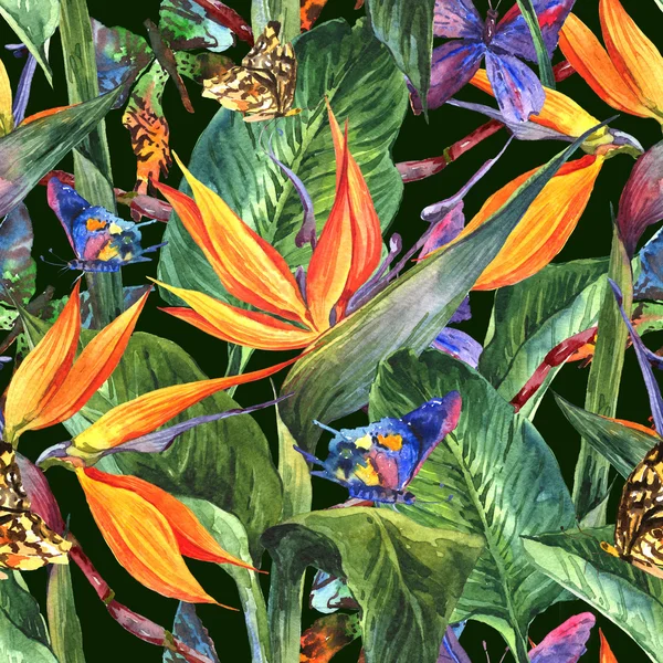 Modèle tropical sans couture avec des fleurs exotiques — Photo