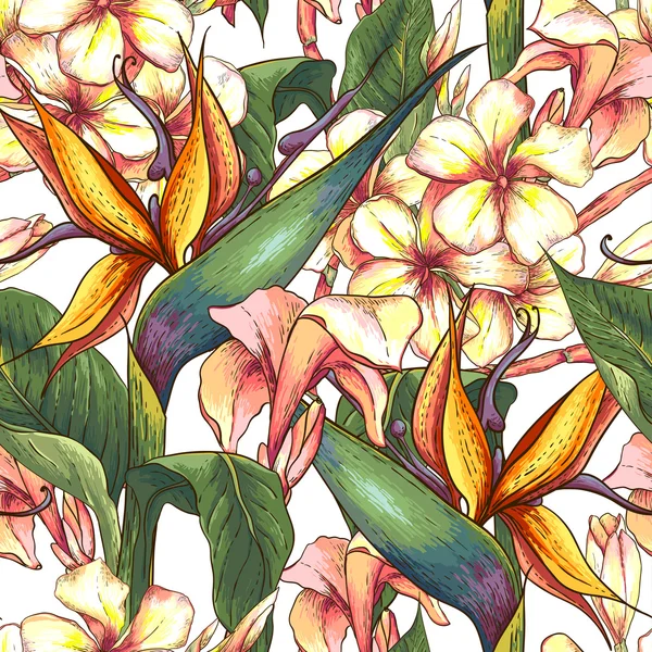 Modèle tropical sans couture avec des fleurs exotiques . — Image vectorielle