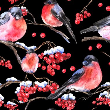 Sulu Boya Dikişsiz arka plan ile bullfinches