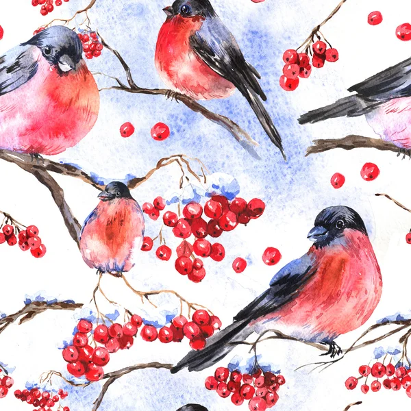 Watercolor seamless background with bullfinches — Stock Photo, Image