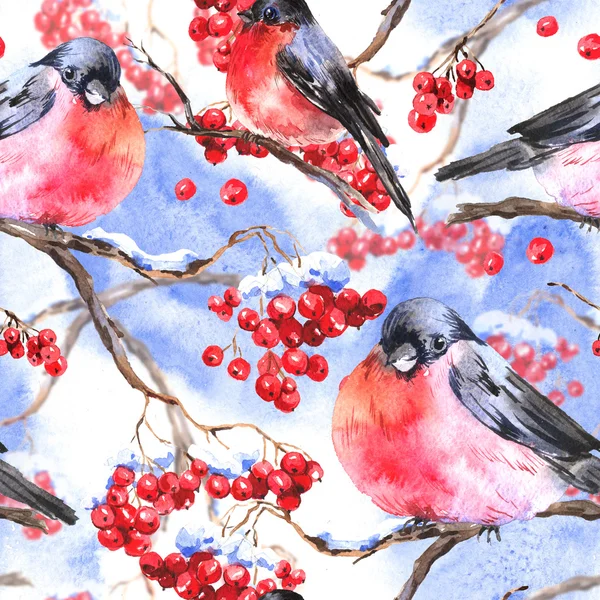 Acquerello sfondo senza soluzione di continuità con bullfinches — Foto Stock