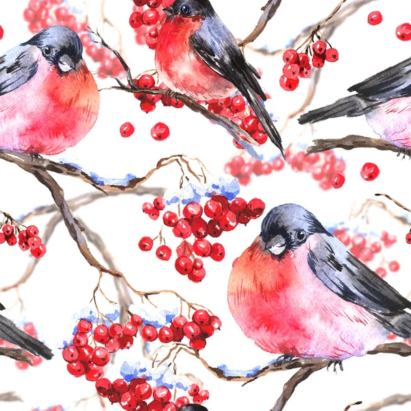 Watercolor seamless background with bullfinches — Stock Photo, Image