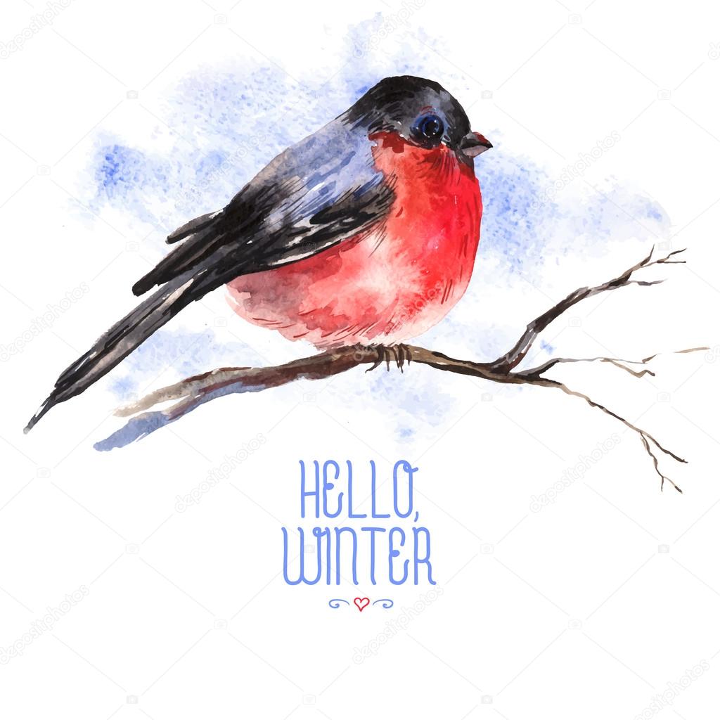 Winter Watercolor Background with Bullfinches