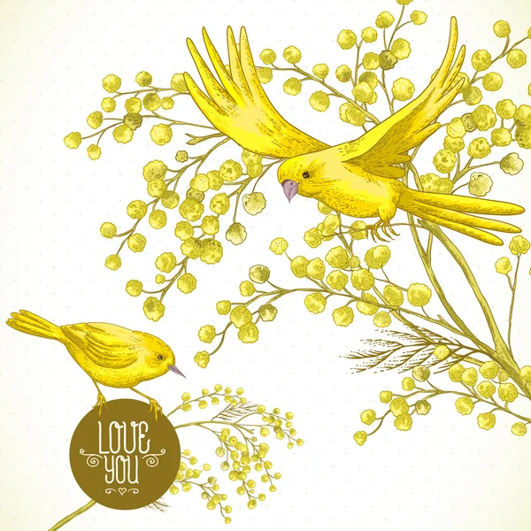 含羞草和黄色鸟，春天背景的枝 — 图库矢量图片