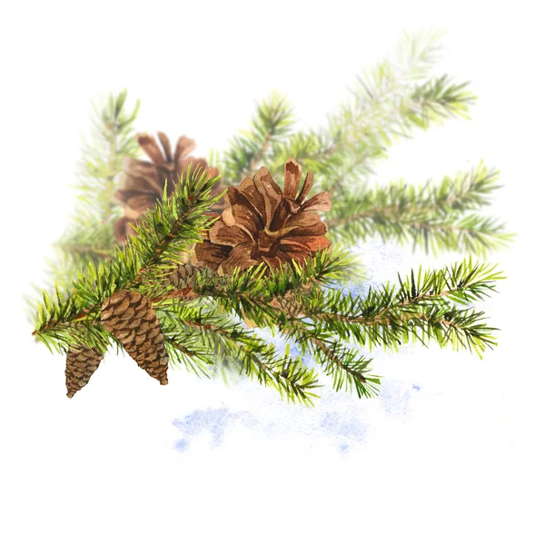 Christmas Watercolor with Sprig of Fir Trees — Stock Photo, Image