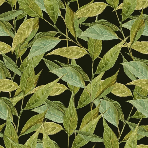 Безшовні аквареллю фону з гілки, листя — стокове фото