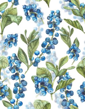 Sulu Boya Dikişsiz arka plan mavi çilek ile