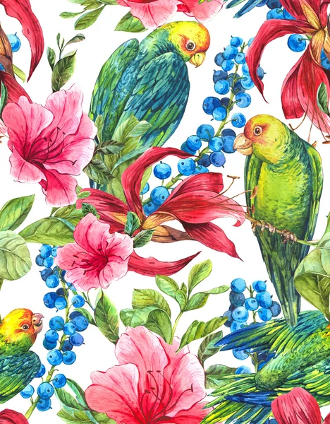 Fondo sin costuras con flores tropicales, loros — Foto de Stock