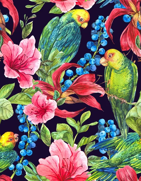 Fundo sem costura com flores tropicais, papagaios — Fotografia de Stock