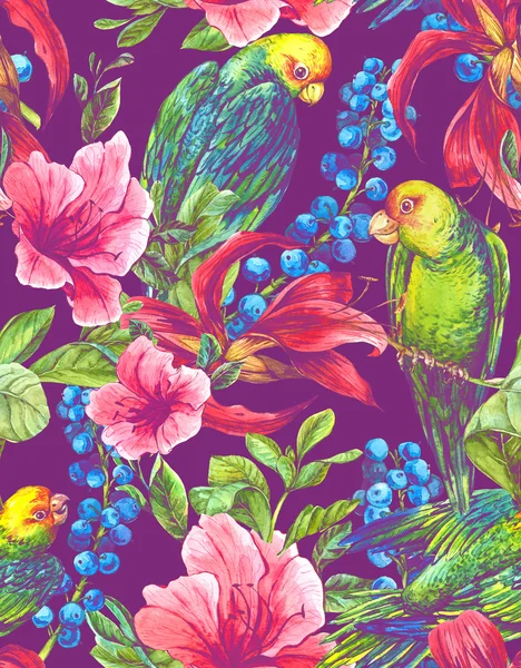Tropik çiçekler, papağan ile sorunsuz arka plan