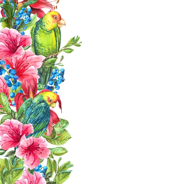 Exotische Vintage kaart met tropische bloemen, papegaaien — Stockfoto