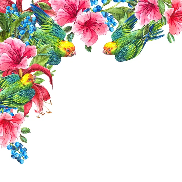열 대 꽃, 앵무새와 이국적인 빈티지 카드 — 스톡 사진