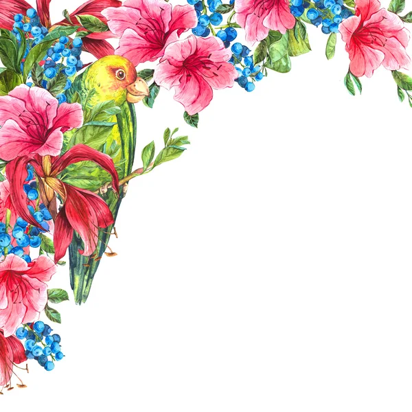 열 대 꽃, 앵무새와 이국적인 빈티지 카드 — 스톡 사진