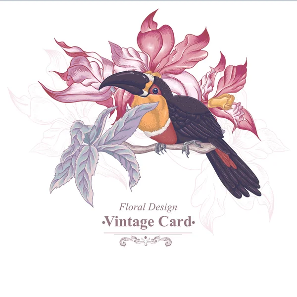 Floral Vector Vintage Card cu flori exotice și Toucan . — Vector de stoc