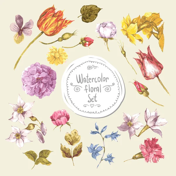 Conjunto de elementos de design floral aquarela. Peônias, rosas, narciso, tulipa, flores silvestres —  Vetores de Stock