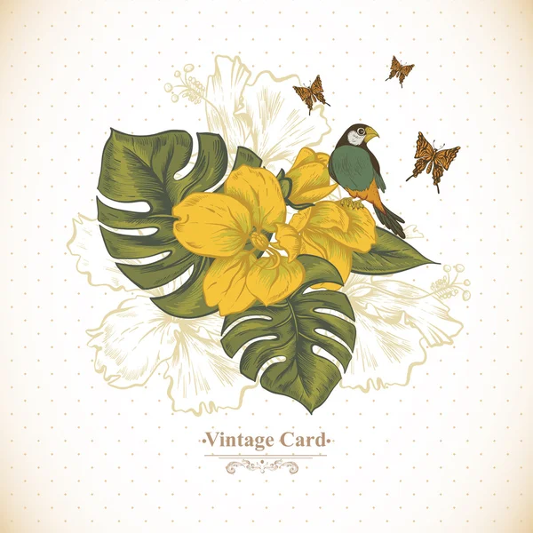 Vintage cartão de saudação flores tropicais, borboleta e pássaros —  Vetores de Stock