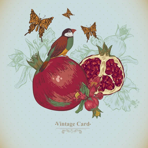 Винтажная открытка тропические фрукты, цветы, бабочка и птицы — стоковый вектор