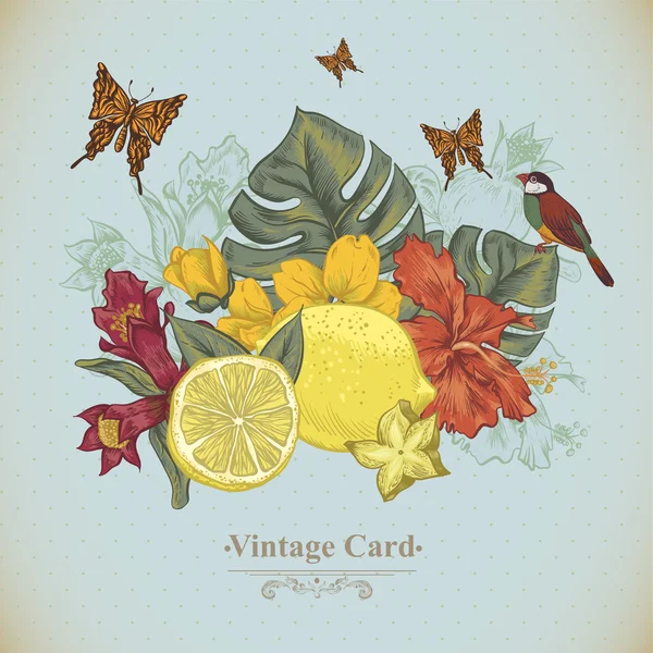 Vintage Greeting Card Tropical Fruit, Flowers, Butterfly and Birds — Stock Vector