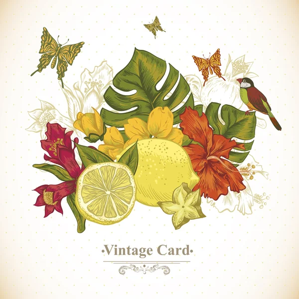 Tarjeta de felicitación Vintage Frutas tropicales, Flores, Mariposas y Aves — Vector de stock