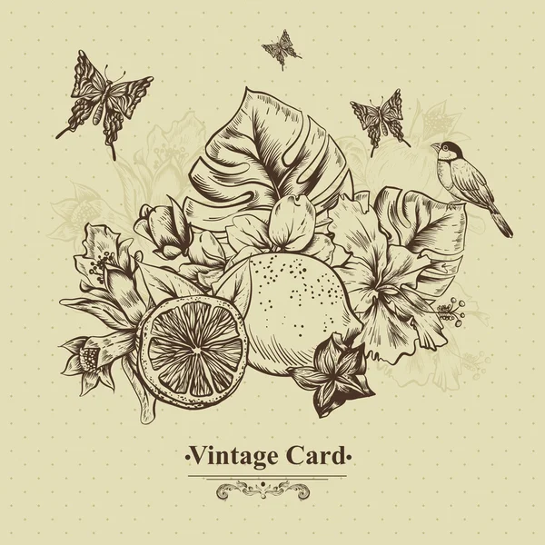 Vintage tebrik kartı tropikal meyve, çiçek, kelebek ve kuş — Stok Vektör