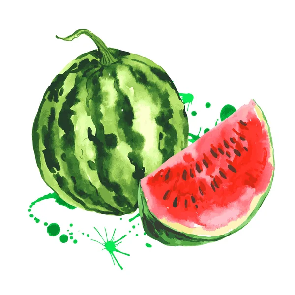 Aquarelle pastèque, fruits dessinés à la main d'été — Image vectorielle