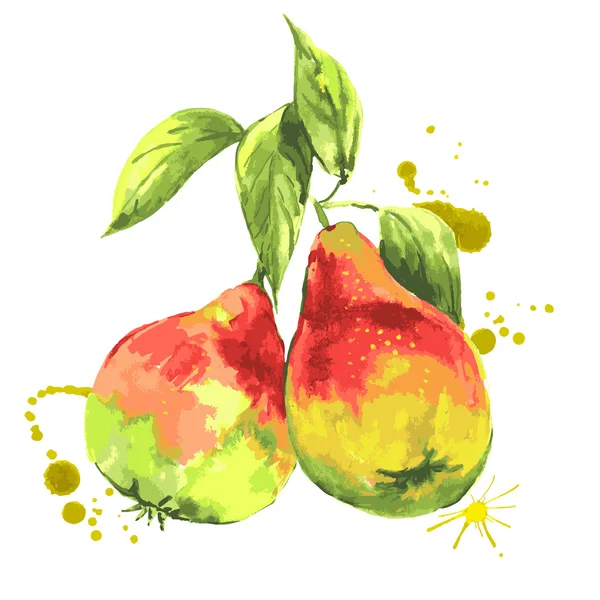 Акварельные груши, летние фрукты — стоковый вектор
