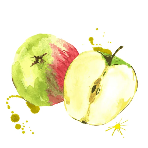 Manzanas acuarela, fruta dibujada a mano de verano — Archivo Imágenes Vectoriales