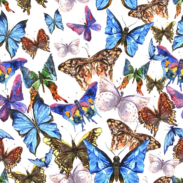 Belo verão colorido aquarela borboletas sem costura padrão — Fotografia de Stock