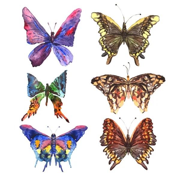 Conjunto de belas borboletas coloridas abstratas de verão aquarela — Fotografia de Stock