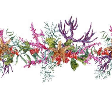 Summer Vintage Watercolor Sea Life Seamless Border with Seaweed Starfish and Coral