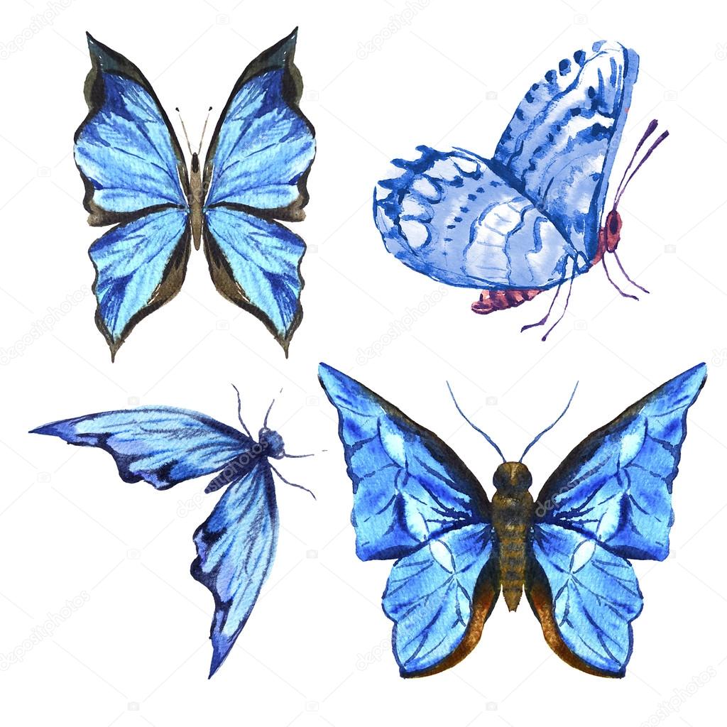 Set of beautiful blue colorful summer watercolor butterflies